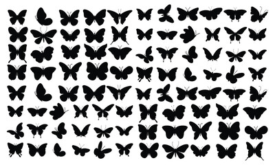 Butterfly silhouettes Cute butterfly stencils summer insects with wings flying butterflies