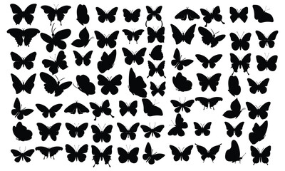 Naklejka premium Big set butterflies on a white background drawing decorative insect silhouettes hand draw vector