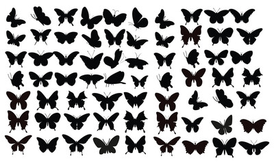 butterfly, black silhouette, set vector 