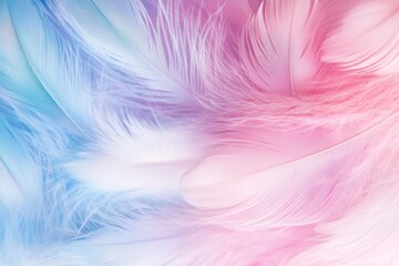 Obraz premium dreamy pastel feather background . A close-up view of a vibrant background featuring blue and pink feathers, showcasing intricate textures and colors.