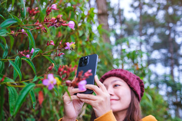 A woman taking photos of wild flowers with smartphone in the forest
