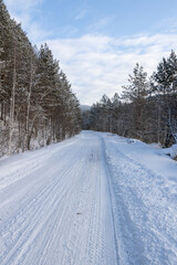 Obraz premium The beauty of the winter frosty snow-covered forest