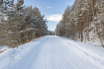 The beauty of the winter frosty snow-covered forest