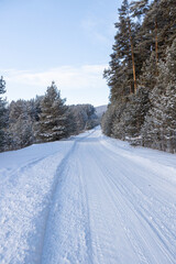 Obraz premium The beauty of the winter frosty snow-covered forest