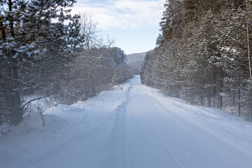 Obraz premium The beauty of the winter frosty snow-covered forest