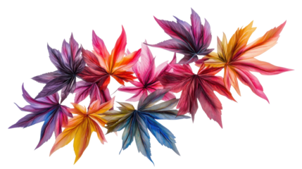 Colorful leaves on transparent background 