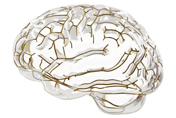 Transparent Brain: 3D Render - A 3D render of a transparent brain, showcasing its internal structure and highlighting the complex network of neural connections.