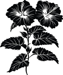 black silhouettes of tropical hibiscus flowers Vector isolated on a white background