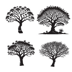 High-Quality Vector Silhouette of the Black Desert Gum Tree Isolated on White Background"