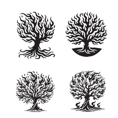"High-Quality Vector Silhouette of the Black Flame Tree Isolated on White Background"