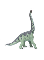 Prehistoric Animal Educational Toys model. Green Dinosaur long necked Brachiosaurus name is sauropod herbivore  in the Jurassic era. isolated on white background.