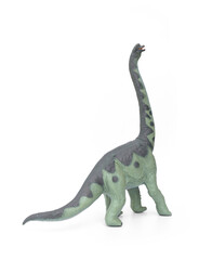 Prehistoric Animal Educational Toys model. Green Dinosaur long necked Brachiosaurus name is sauropod herbivore  in the Jurassic era. isolated on white background. © Panupong