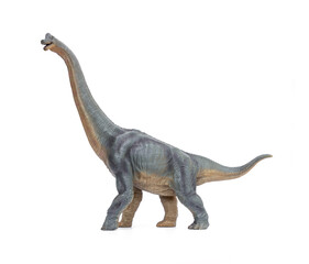 Dinosaur long necked Brachiosaurus name is sauropod herbivore in the Jurassic era. isolated on white background. © Panupong