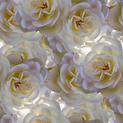 Seamless pattern texture of delicate roses, soft and romantic floral design, copy space