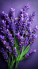 Obraz premium Lavender petals overlapping serene aromatic mood soft purple tones floral arrangement close-up view background concept