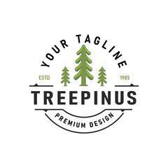 Silhouette of Three Pine Trees Similar to Spruce. Wood Forest Logo Design Retro Classic Vintage Illustration Label Badge