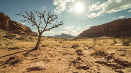 Arizona desert landscape with brown rock, sand dune hills, green cactus and grass, dry tree on bright sun light day. Cartoon vector illustration of drought sandy scenery with wild cacti and grass.