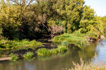 River bed with overgrown banks