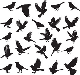 set of birds silhouette vector