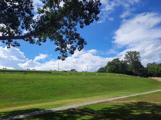 Peaceful Green Hill Under a Bright Blue Sky with White Clouds, Trees, and Benches in a Serene Park
