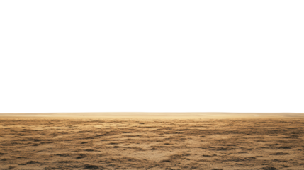 A serene view of a peaceful sea with soft waves, reflecting warm golden hues against a dark horizon, creating a tranquil atmosphere.