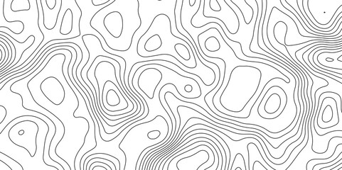 Topography and geography map grid. Topographic map patterns, topography line map. World map International vector template. paper texture. Transparent PNG available. art, 3d. Vector illustration eps 10 © Creative Lis