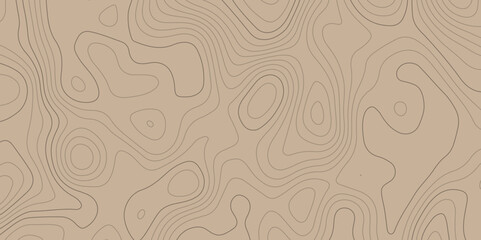 Topography and geography map grid. Topographic map patterns, topography line map. World map International vector template. paper texture. Transparent PNG available. art, 3d. Vector illustration eps 10