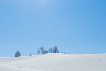北海道冬の美瑛の風景10