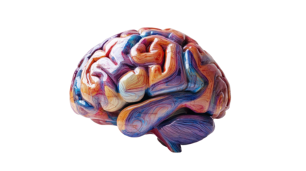 Colorful representation of a human brain, showcasing vibrant swirls and textures on a white isolated background.