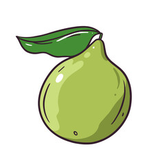 A Fresh Green Pear with Leaf that Perfectly Illustrates the Essence of Natural Beauty