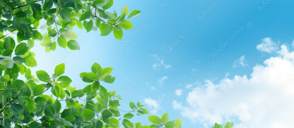 Poster lush green leaves and intricate branches frame a bright blue sky with soft clouds, creating a serene
