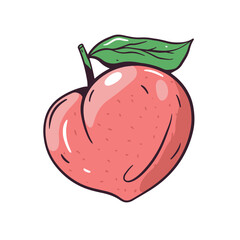 This is an illustrated depiction of a fresh peach complete with a vibrant green leaf