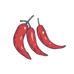A vibrant illustration of three delicious Red Chili Peppers, ideal for any culinary theme