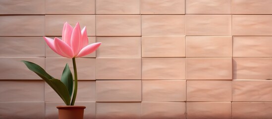 Pink Siam tulip flower in pot positioned left with green leaves against textured clay tile wall in soft neutral tones offering ample copy space