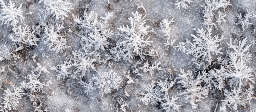Aufkleber serene winter background featuring delicate white snowflakes scattered on a frosty gray surface crea