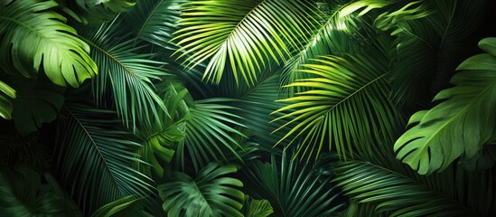 Lush green palm leaves create a vibrant backdrop, framing a serene interior view that highlights nature's integration with elegant design elements.