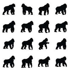 A set of gorilla vector silhouette