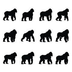 A set of gorilla vector silhouette