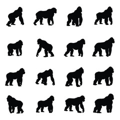 A set of gorilla vector silhouette