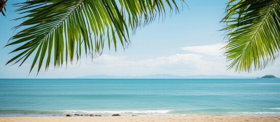 Tropical beach with serene turquoise waters framed by vibrant green palm leaves under a clear blue sky with distant islands visible.