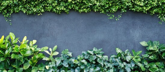 Leafy green foliage borders frame a dark slate background creating a harmonious design perfect for nature-themed creative projects