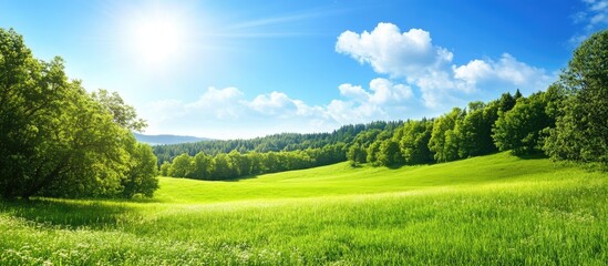 Vibrant green forest landscape under a clear blue sky with fluffy white clouds and sunlit meadows creating a tranquil natural setting