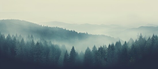 Fototapeta premium Misty forest landscape in vintage tones with deep green fir trees on rolling hills under a soft pastel sky creating a tranquil atmosphere