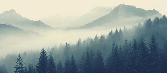 Misty mountainous landscape with dense evergreen forest in soft blues and grays, featuring serene fog and ample copyspace for text placement.
