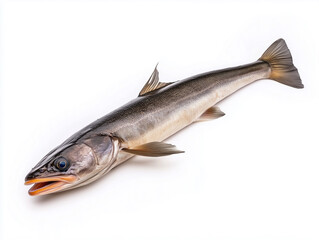 Obraz premium Fish With Elongated Body and Distinctive Features Rest on Plain Background Ready for Culinary Preparation