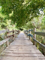 Fototapeta premium wooden bridge in the forest