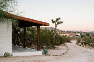 Desert Cottage with Joshua Tree Backdrop