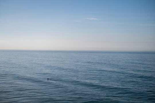 Single surfer sits isolated and small in wave lineup ocean by himself