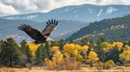 A wild eagle flying, AI generated image