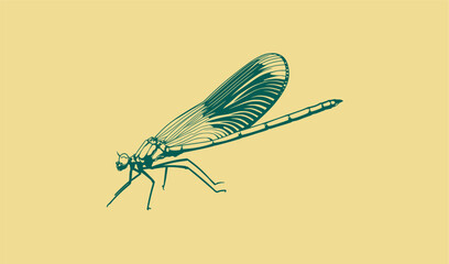 Dragonfly Vector Illustration